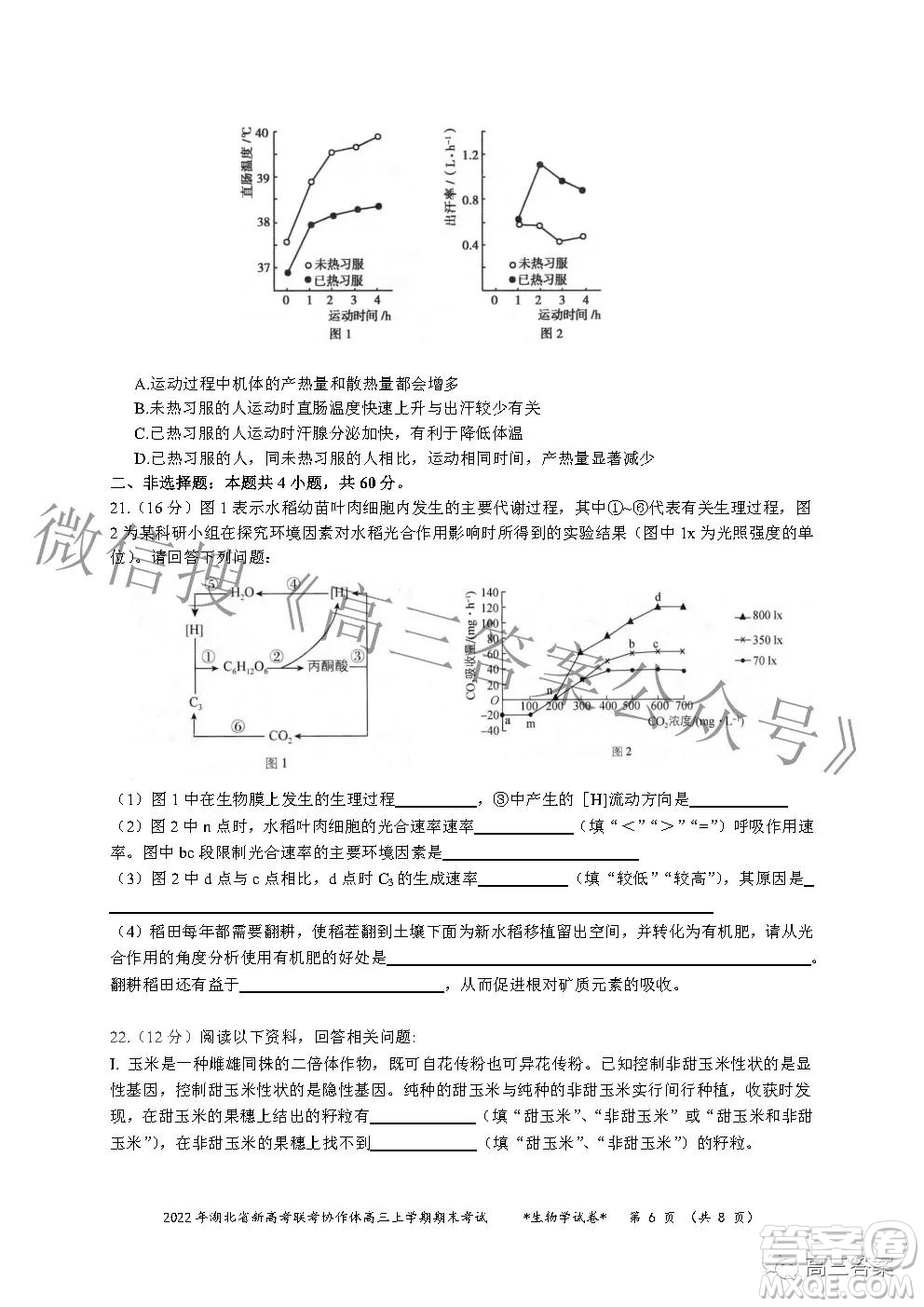 2022年湖北省新高考協(xié)作體高三上學(xué)期期末考試生物學(xué)試卷及答案