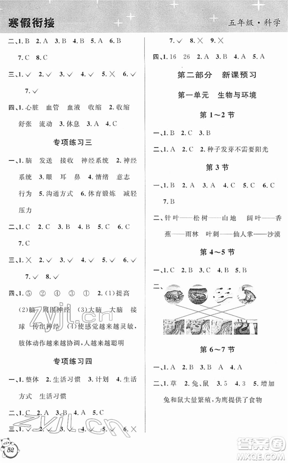 浙江科學(xué)技術(shù)出版社2022第三學(xué)期寒假銜接五年級(jí)科學(xué)JK教科版答案