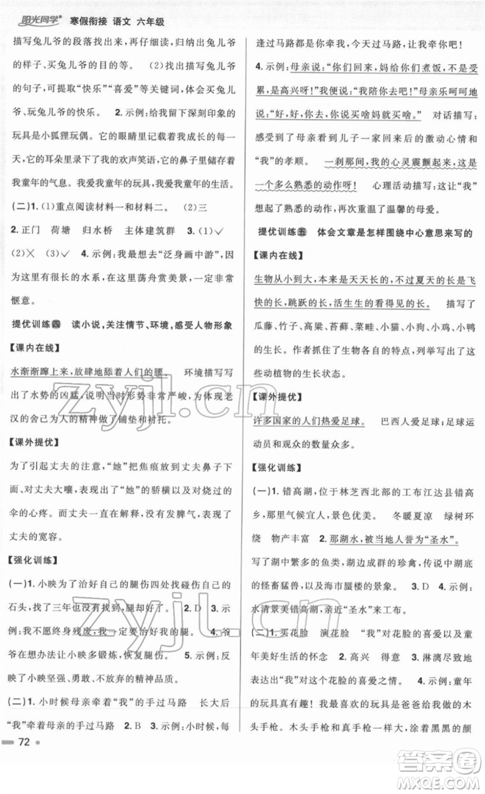 江西教育出版社2022陽光同學(xué)寒假銜接六年級(jí)語文人教版答案