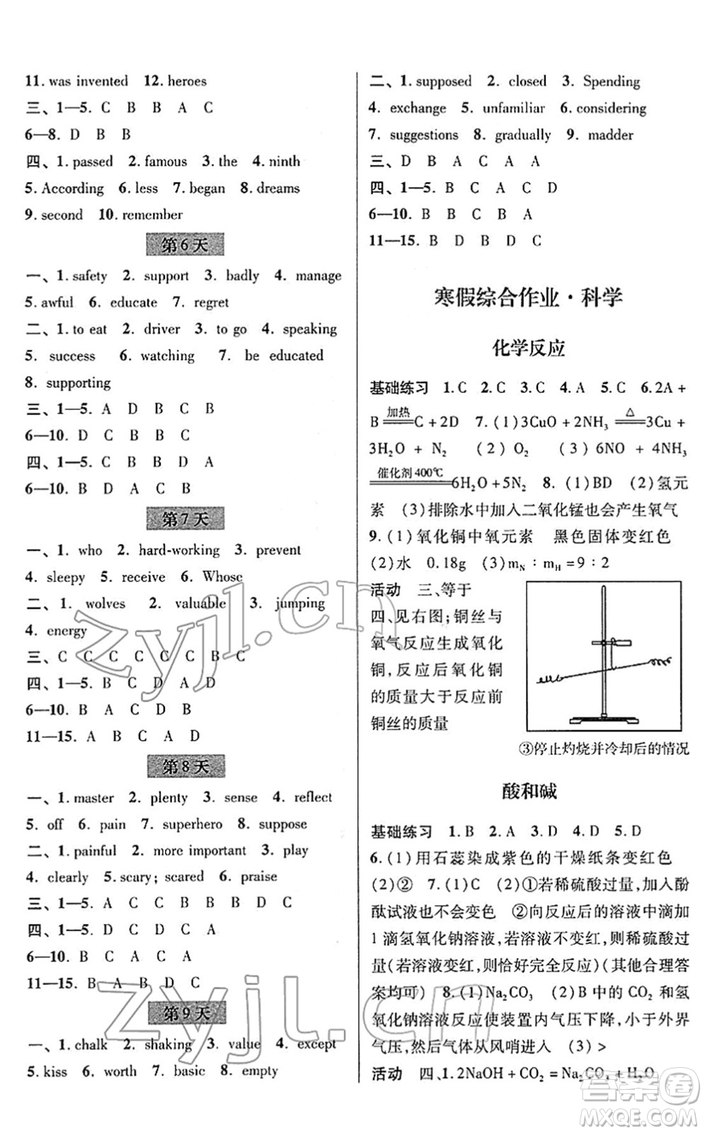 浙江科學技術出版社2022寒假綜合作業(yè)九年級合訂本通用版答案