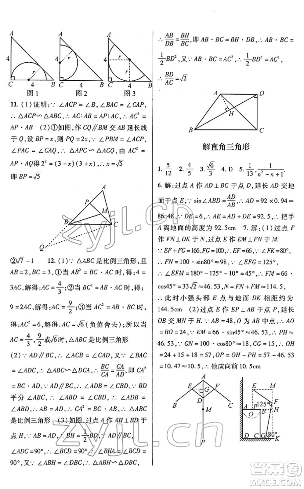 浙江科學技術出版社2022寒假綜合作業(yè)九年級合訂本通用版答案