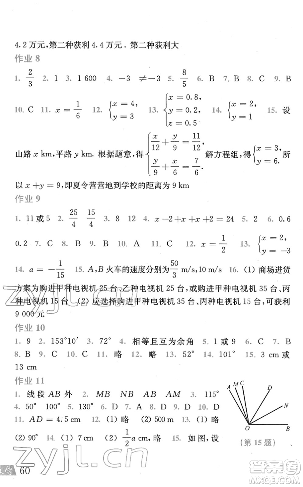 上海科學(xué)技術(shù)出版社2022數(shù)學(xué)寒假作業(yè)七年級滬科版答案