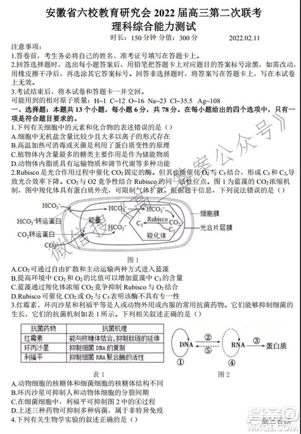 安徽省六校教育研究會(huì)2022屆高三聯(lián)考理科綜合能力測(cè)試答案