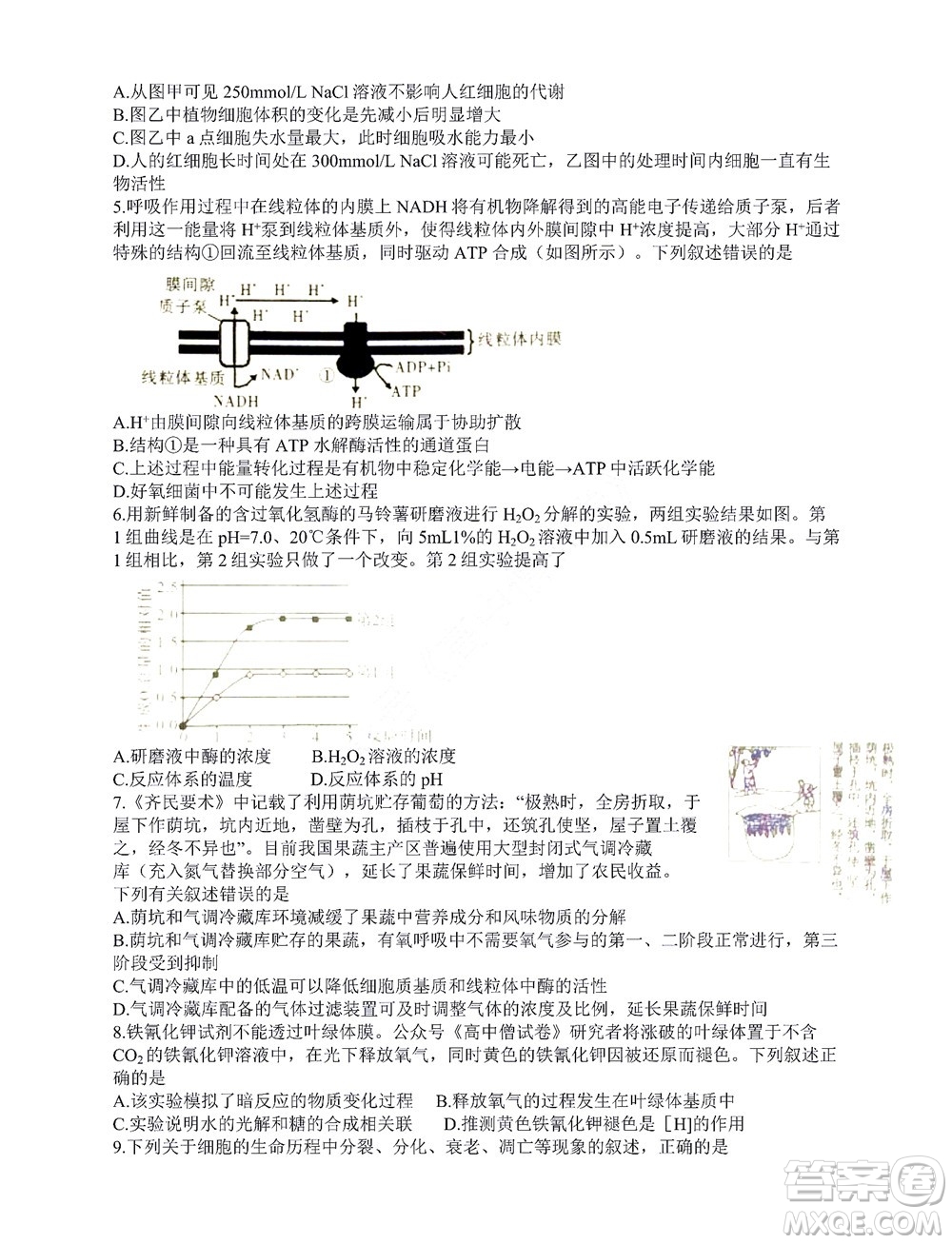 咸陽市2022年高考模擬檢測(cè)一生物試題及答案