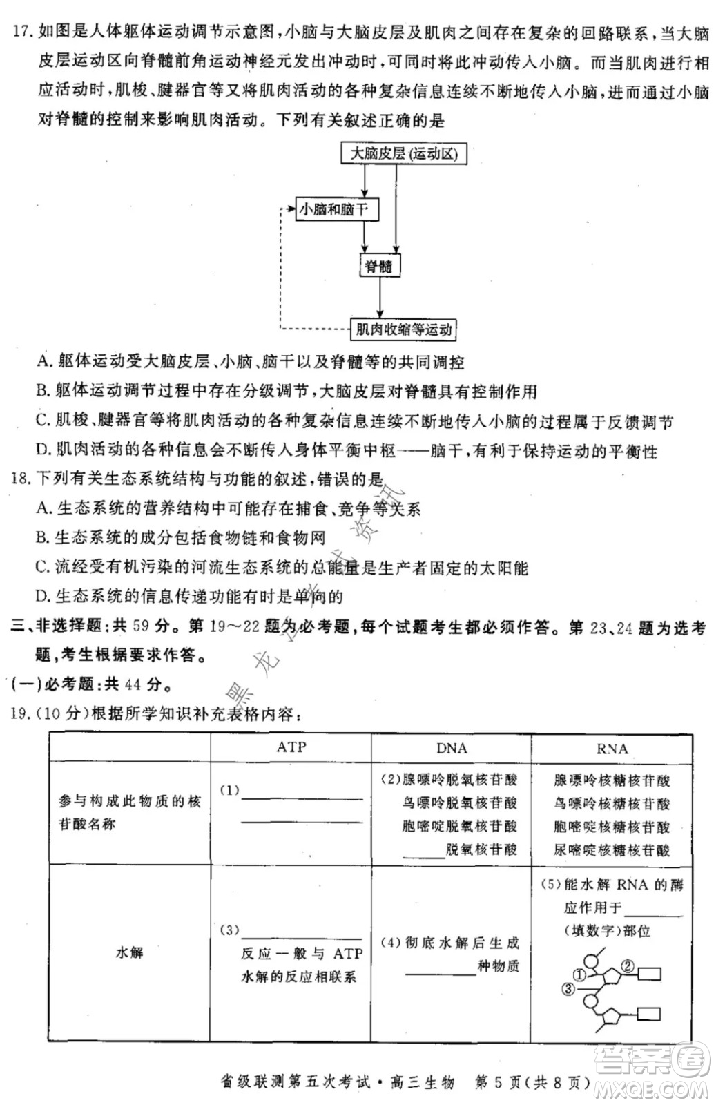 河北省級聯(lián)測2021-2022第五次考試高三生物試題及答案