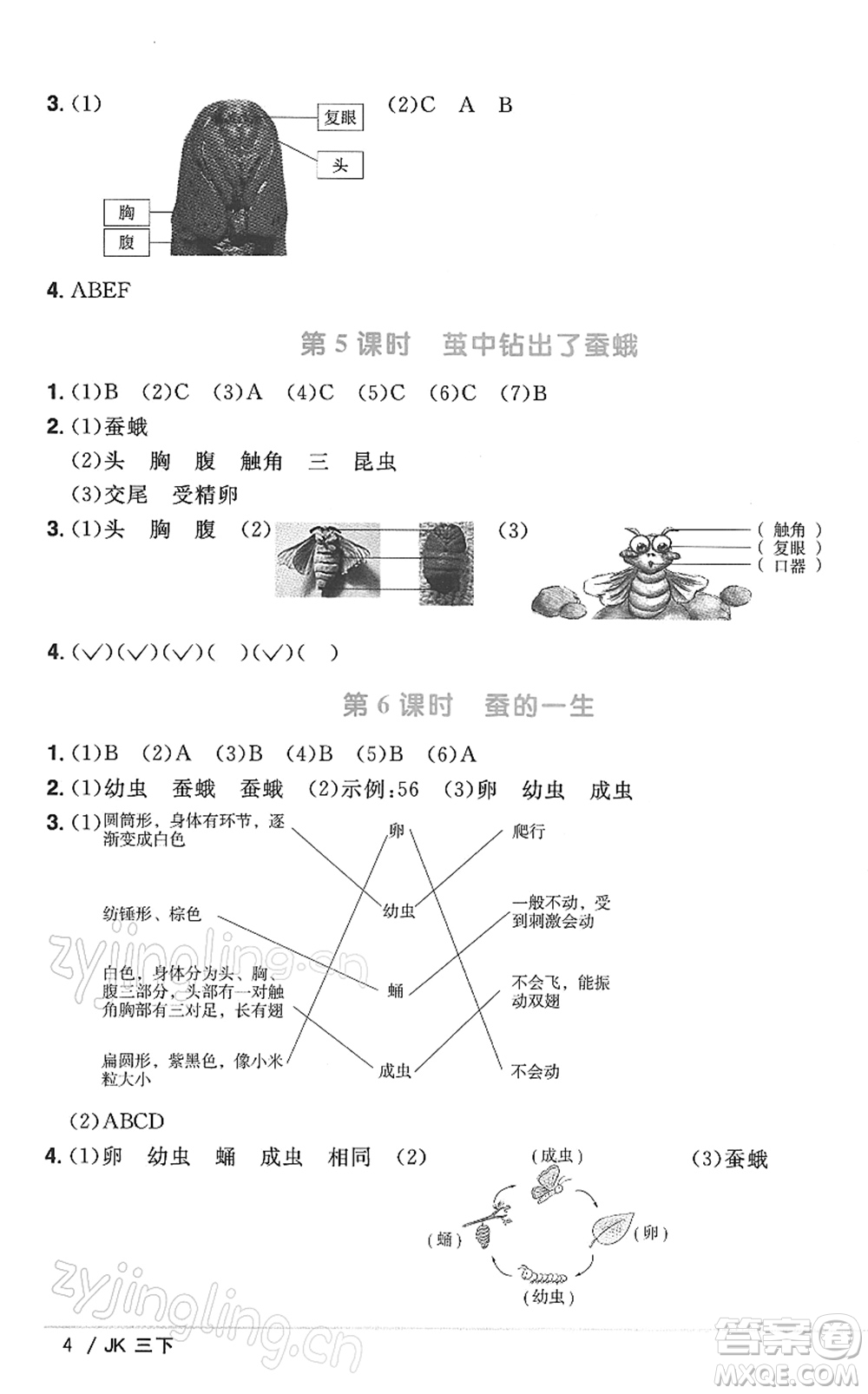 江西教育出版社2022陽光同學課時優(yōu)化作業(yè)三年級科學下冊JK教科版答案