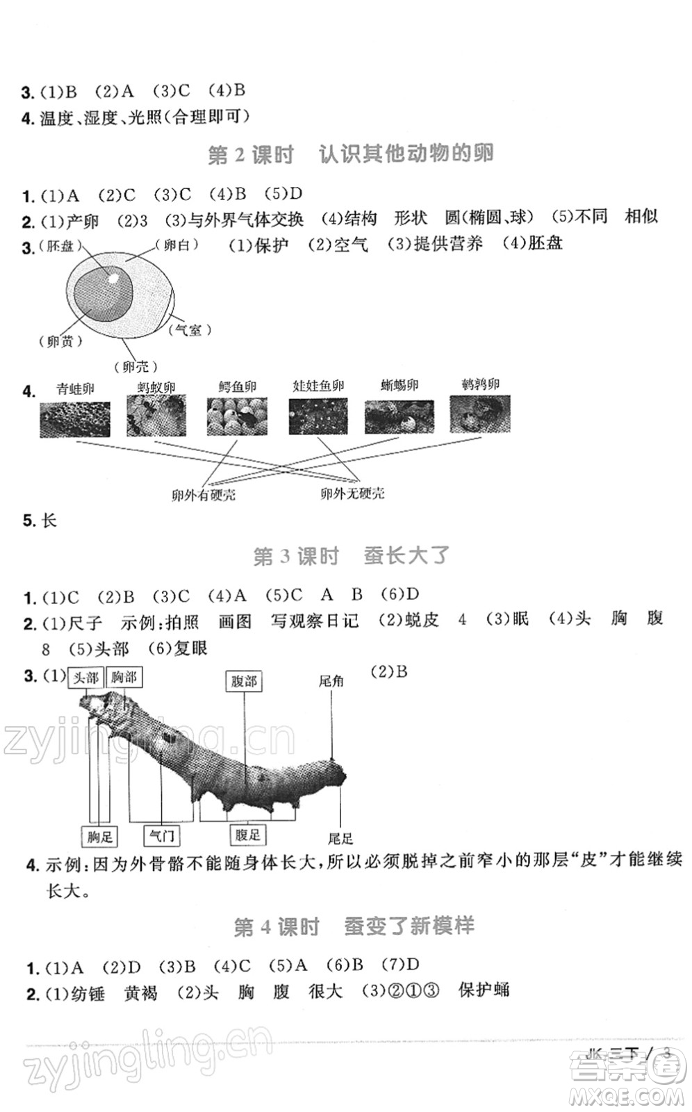 江西教育出版社2022陽光同學課時優(yōu)化作業(yè)三年級科學下冊JK教科版答案