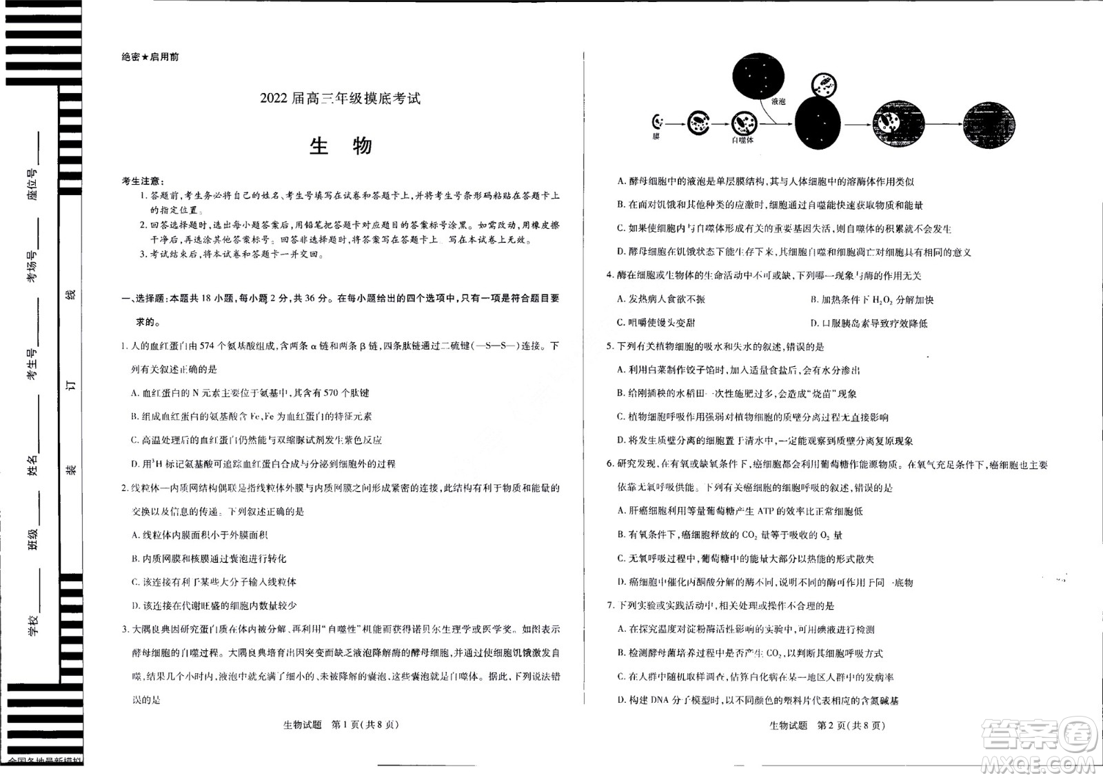 濮陽(yáng)2022屆高三年級(jí)摸底考試生物試題及答案