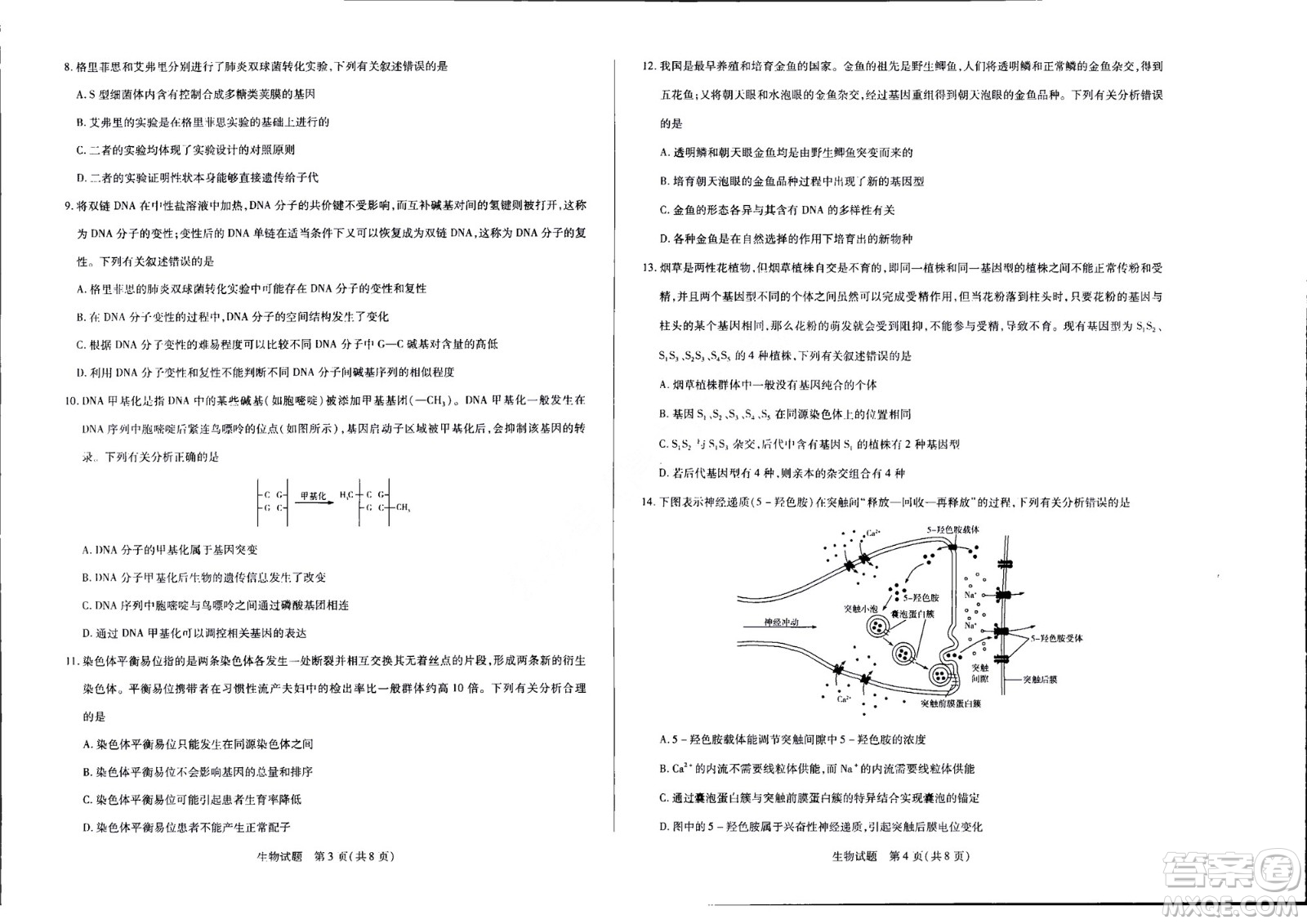 濮陽(yáng)2022屆高三年級(jí)摸底考試生物試題及答案