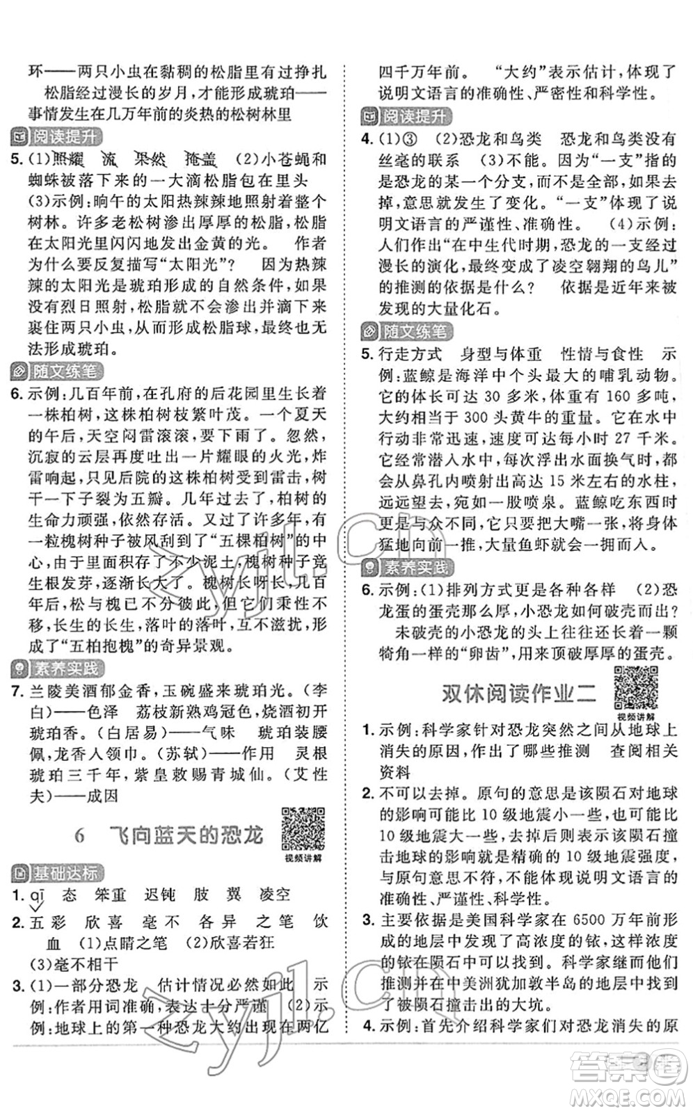 江西教育出版社2022陽光同學課時優(yōu)化作業(yè)四年級語文下冊RJ人教版答案