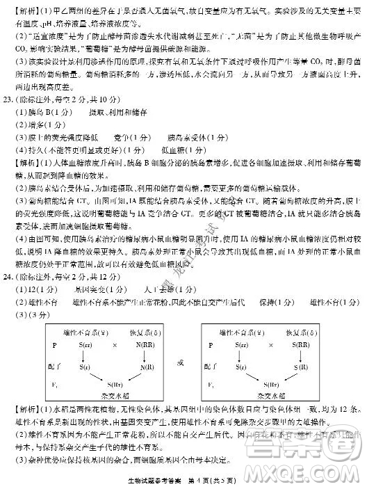 重慶市高2022屆高三第五次質(zhì)量檢測生物試題及答案