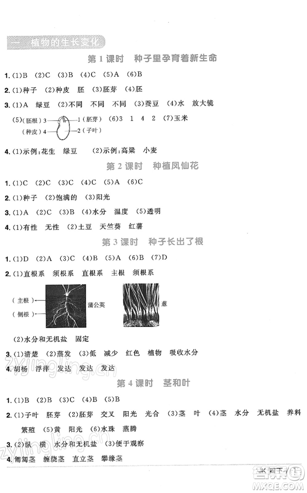 江西教育出版社2022陽(yáng)光同學(xué)課時(shí)優(yōu)化作業(yè)四年級(jí)科學(xué)下冊(cè)JK教科版答案