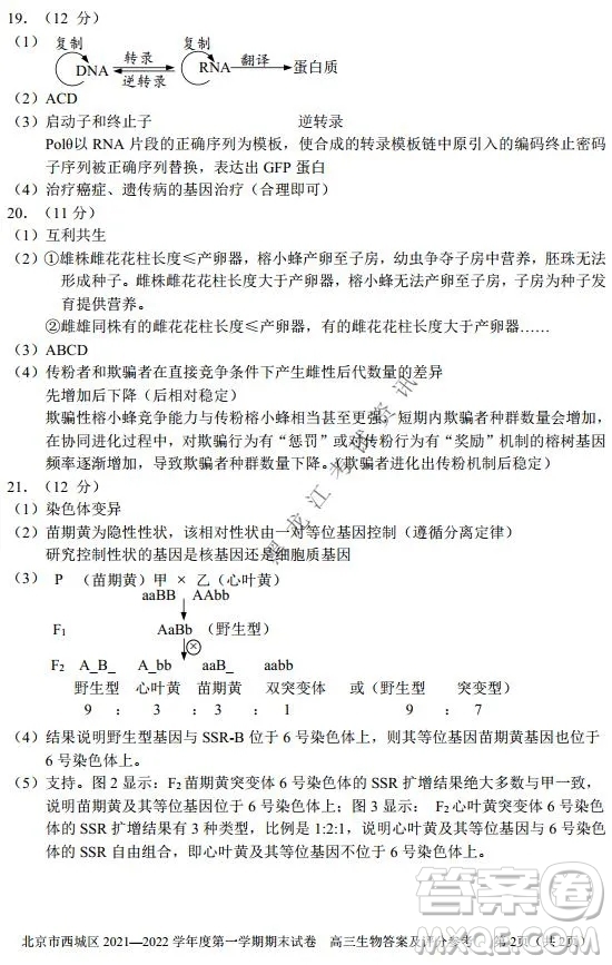 北京市西城區(qū)2021-2022學(xué)年第一學(xué)期期末試卷高三生物試題及答案