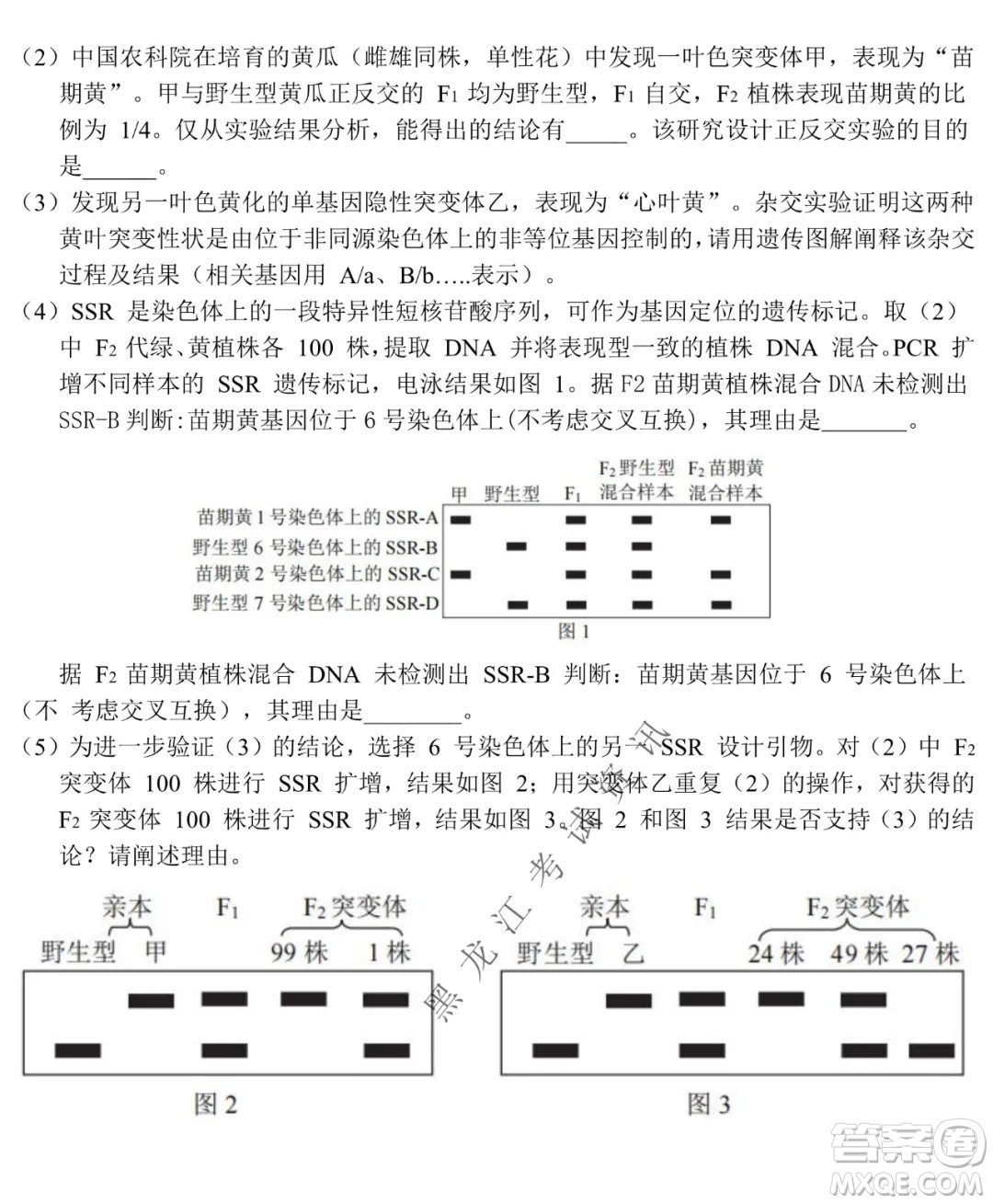 北京市西城區(qū)2021-2022學(xué)年第一學(xué)期期末試卷高三生物試題及答案