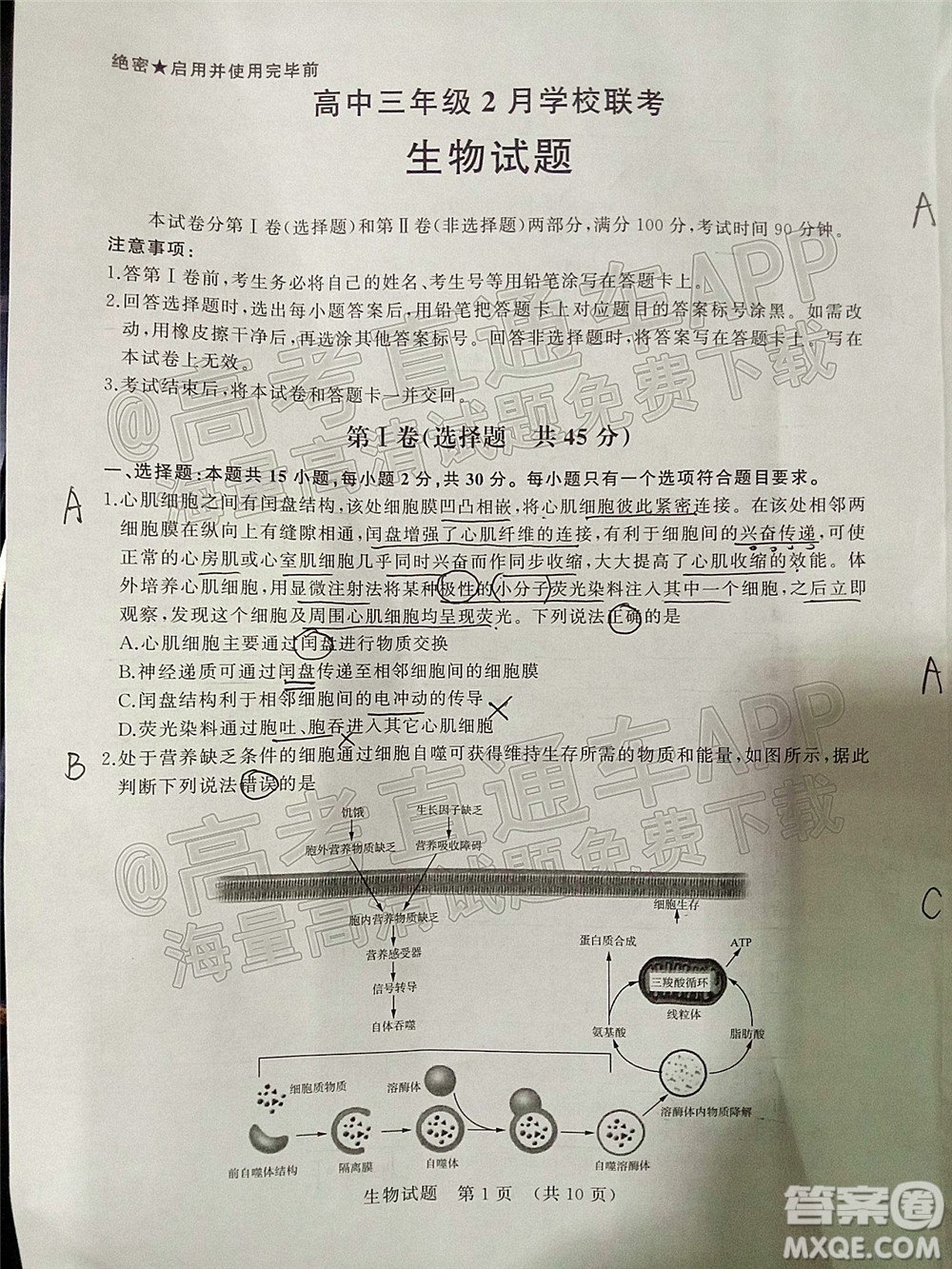 2022年濟(jì)南十一校高三年級2月學(xué)校聯(lián)考生物試題及答案