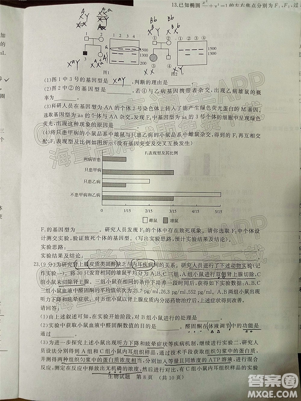 2022年濟(jì)南十一校高三年級2月學(xué)校聯(lián)考生物試題及答案