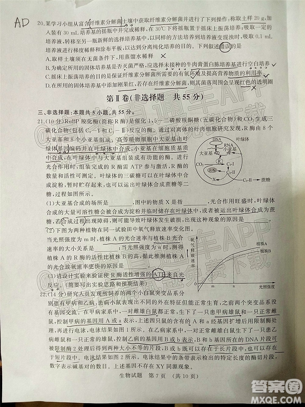 2022年濟(jì)南十一校高三年級2月學(xué)校聯(lián)考生物試題及答案