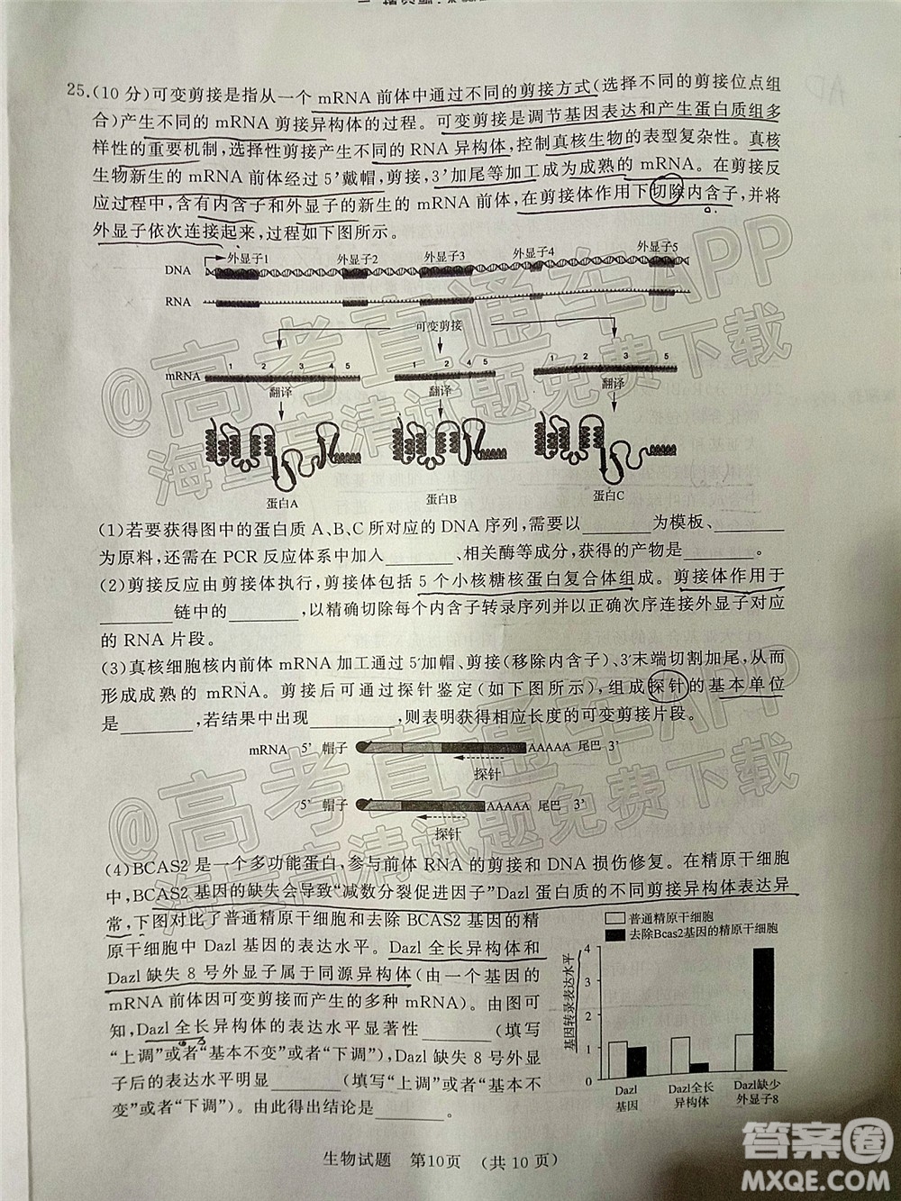 2022年濟(jì)南十一校高三年級2月學(xué)校聯(lián)考生物試題及答案