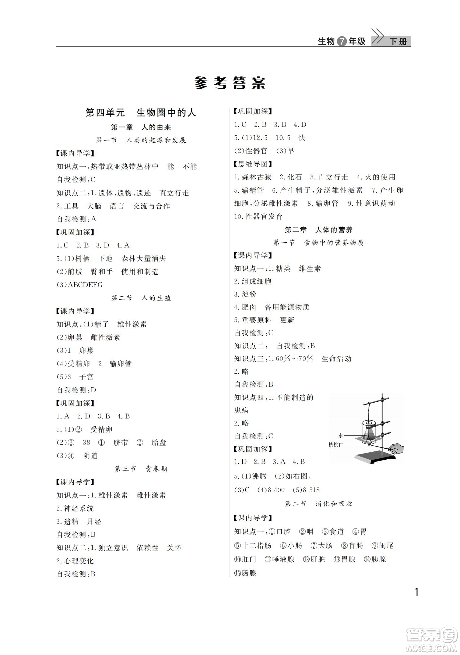 武漢出版社2022智慧學(xué)習(xí)天天向上課堂作業(yè)七年級(jí)生物下冊(cè)人教版答案