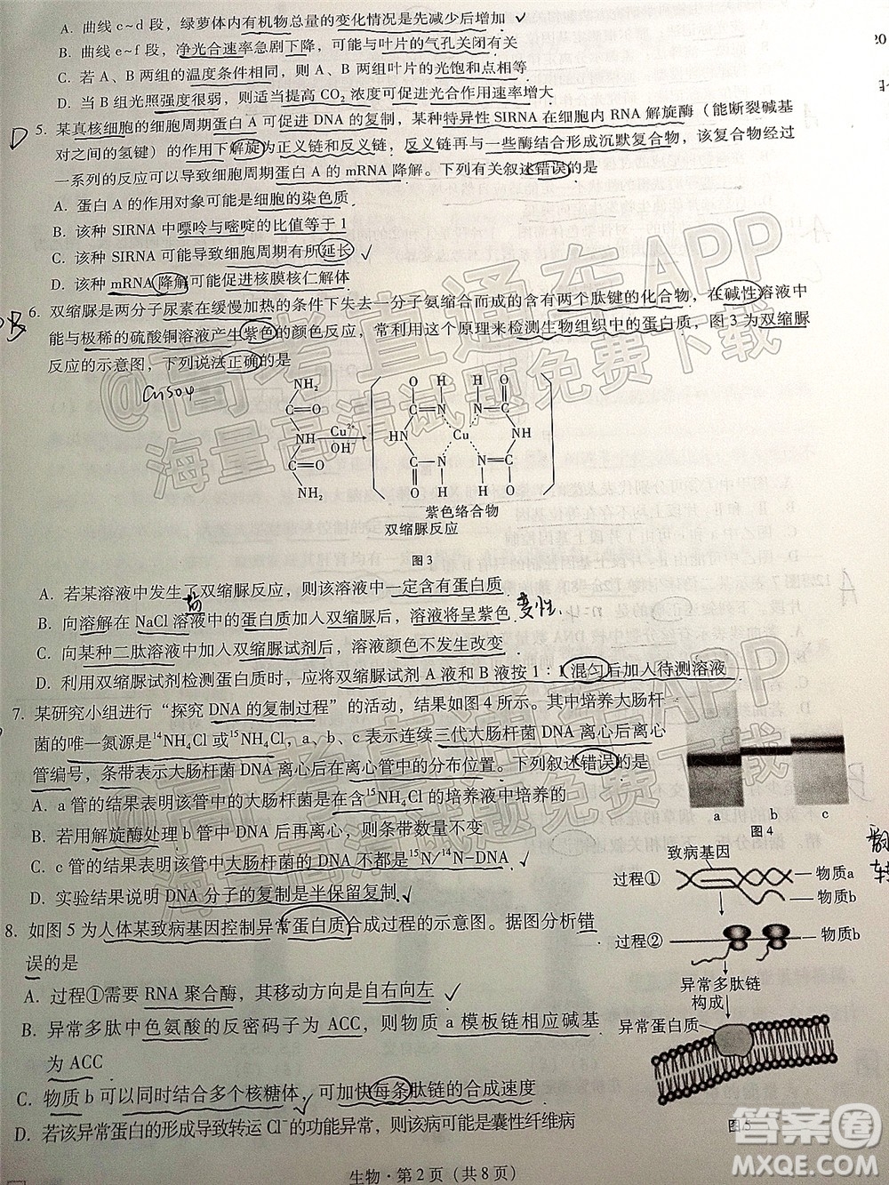 巴蜀中學(xué)2022屆高考適應(yīng)性月考卷七生物試題及答案