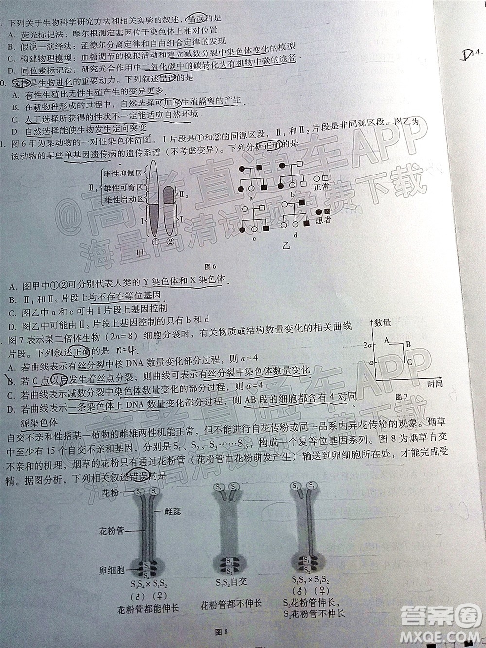 巴蜀中學(xué)2022屆高考適應(yīng)性月考卷七生物試題及答案