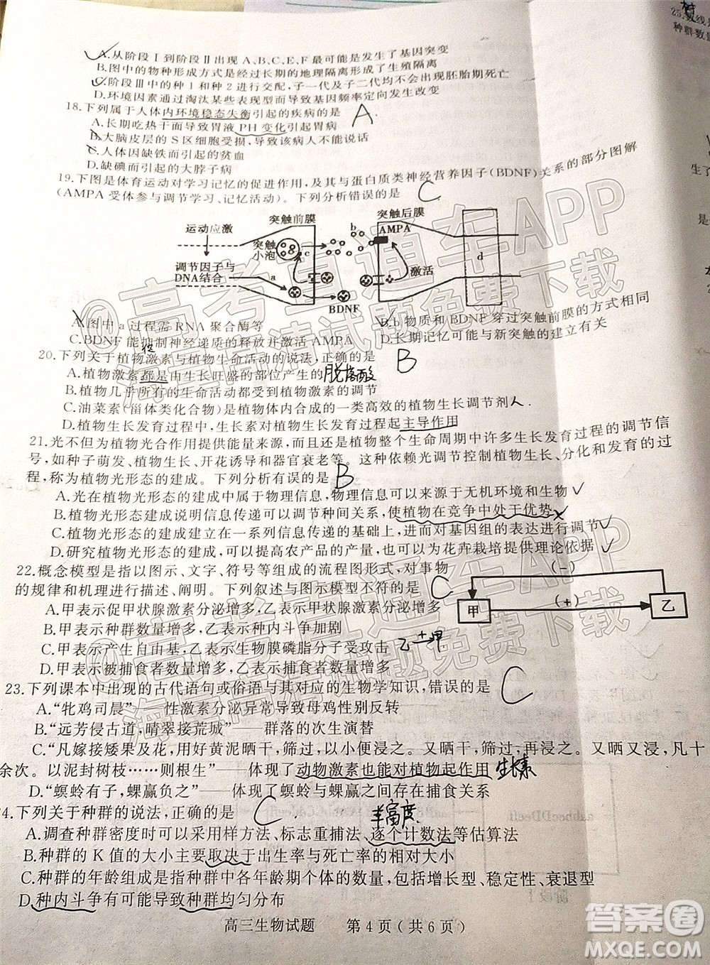 河南信陽2021-2022學(xué)年普通高中高三第二次教學(xué)質(zhì)量檢測生物試題及答案