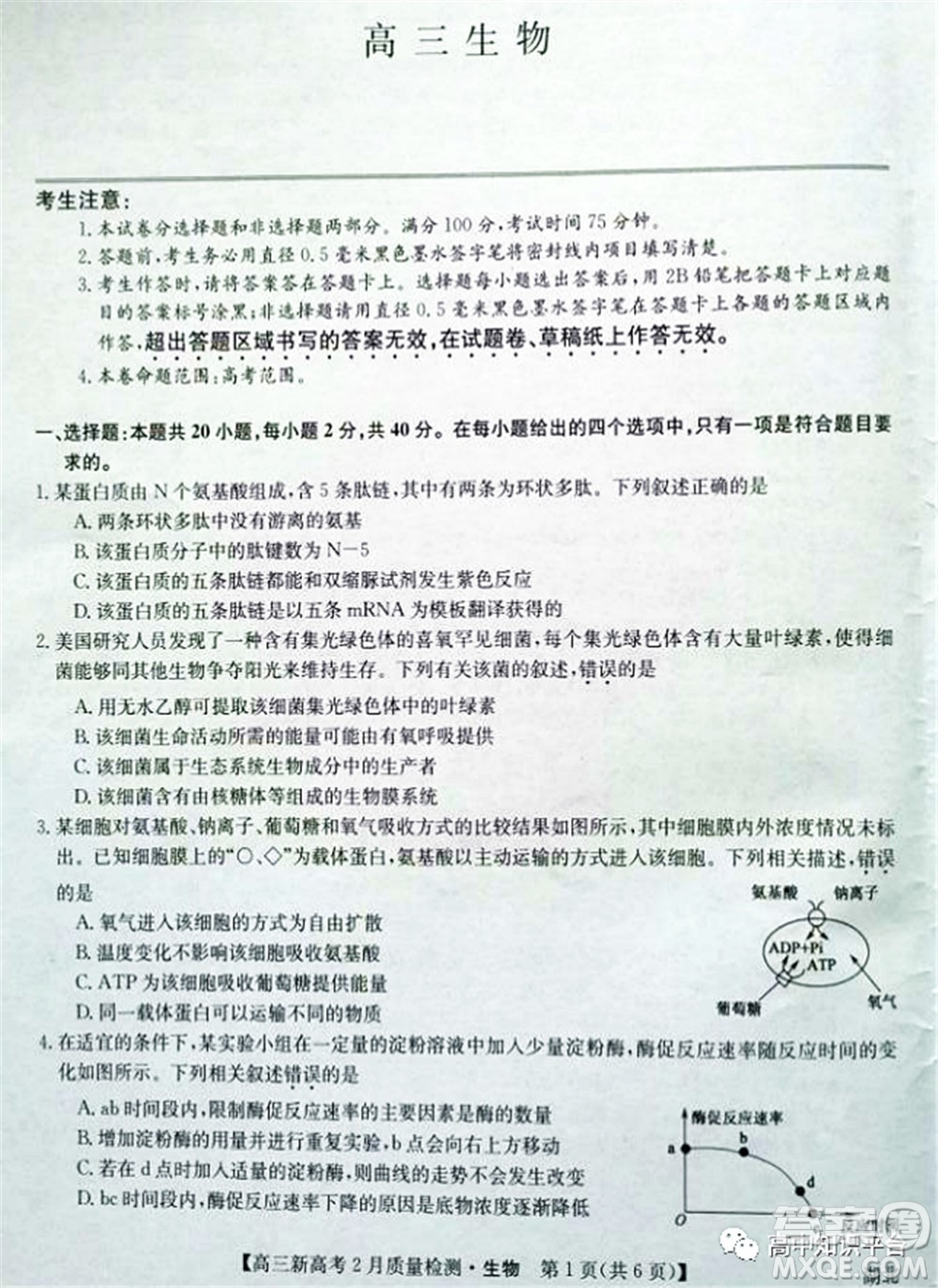 2022年湖北省新高考聯(lián)考協(xié)作體高三新高考2月質(zhì)量檢測生物試題及答案