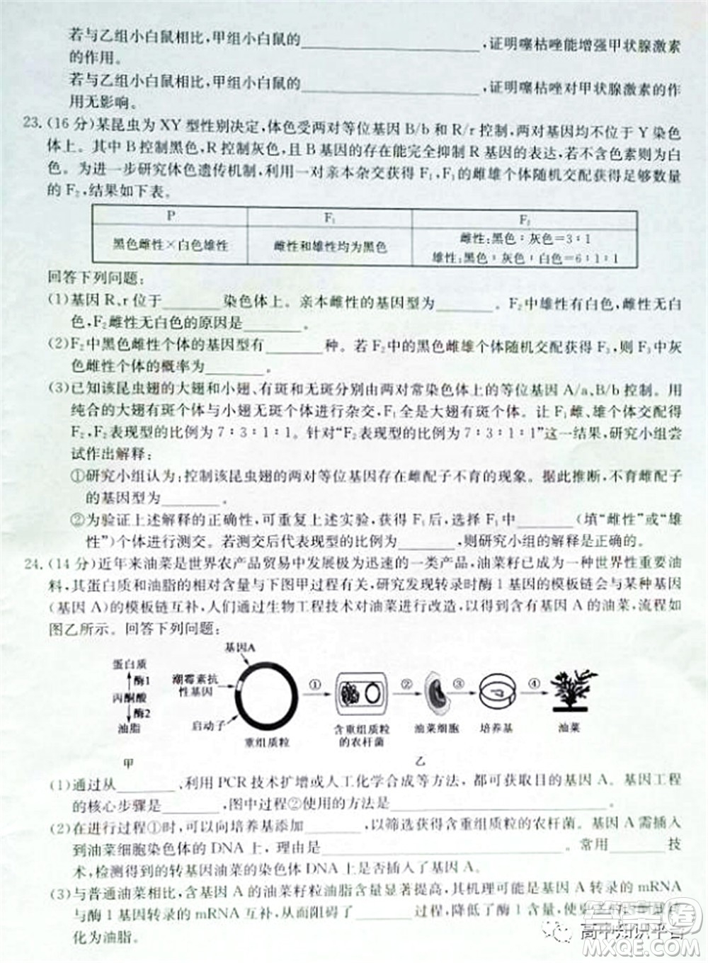 2022年湖北省新高考聯(lián)考協(xié)作體高三新高考2月質(zhì)量檢測生物試題及答案