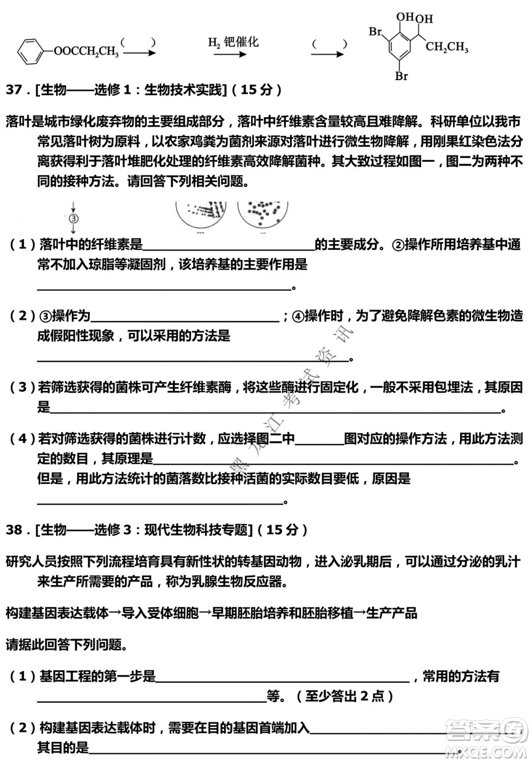 河南省名校聯(lián)盟2021-2022學(xué)年下學(xué)期高三第一次模擬理科綜合試卷及答案