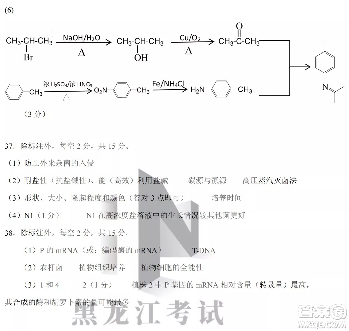 黑龍江省2022年春季學期高三年級校際聯(lián)合考試理科綜合試題及答案