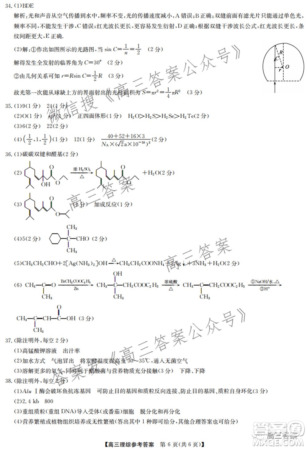 2022年2月九師聯(lián)盟高三聯(lián)考理科綜合試題及答案