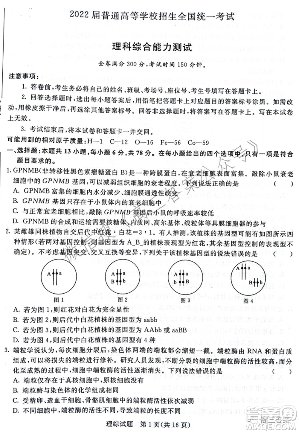 2022屆普通高等學(xué)校招生全國統(tǒng)一考試青桐鳴2月大聯(lián)考理科綜合試題及答案