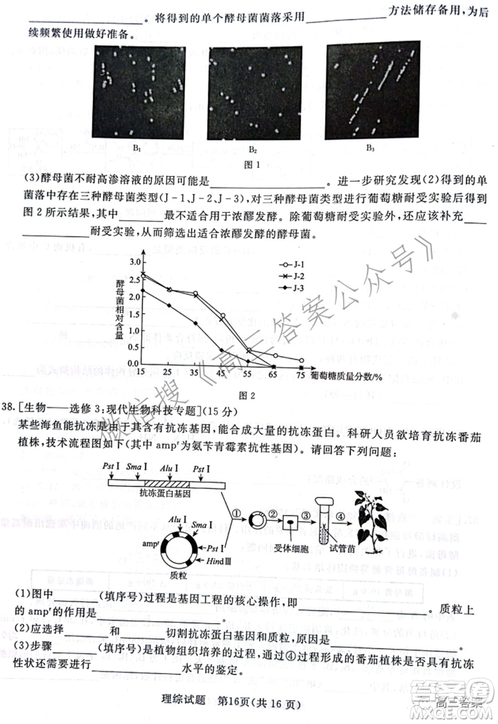 2022屆普通高等學(xué)校招生全國統(tǒng)一考試青桐鳴2月大聯(lián)考理科綜合試題及答案