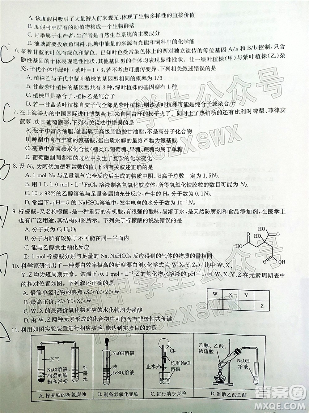 2022屆四省八校金太陽高三2月聯(lián)考理科綜合試題及答案