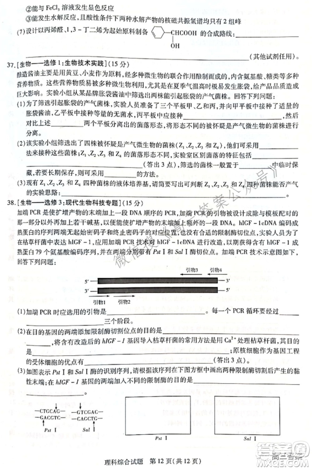 天一大聯(lián)考2021-2022學(xué)年高中畢業(yè)班階段性測(cè)試四理科綜合試題及答案