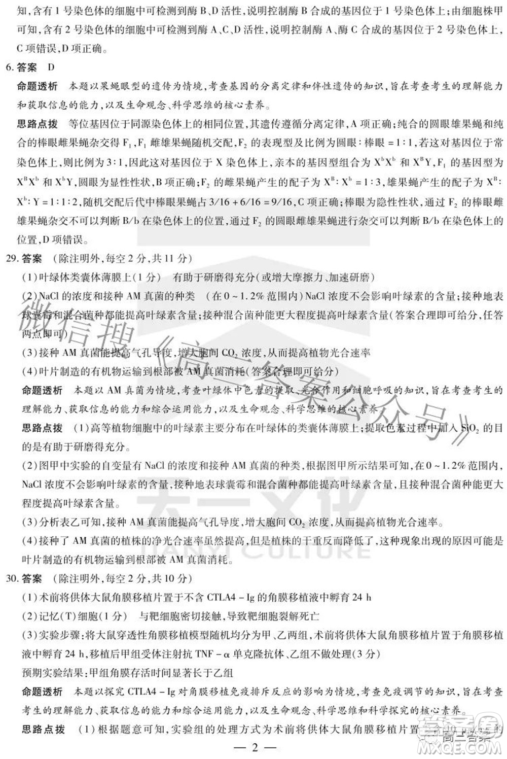 天一大聯(lián)考2021-2022學(xué)年高中畢業(yè)班階段性測(cè)試四理科綜合試題及答案