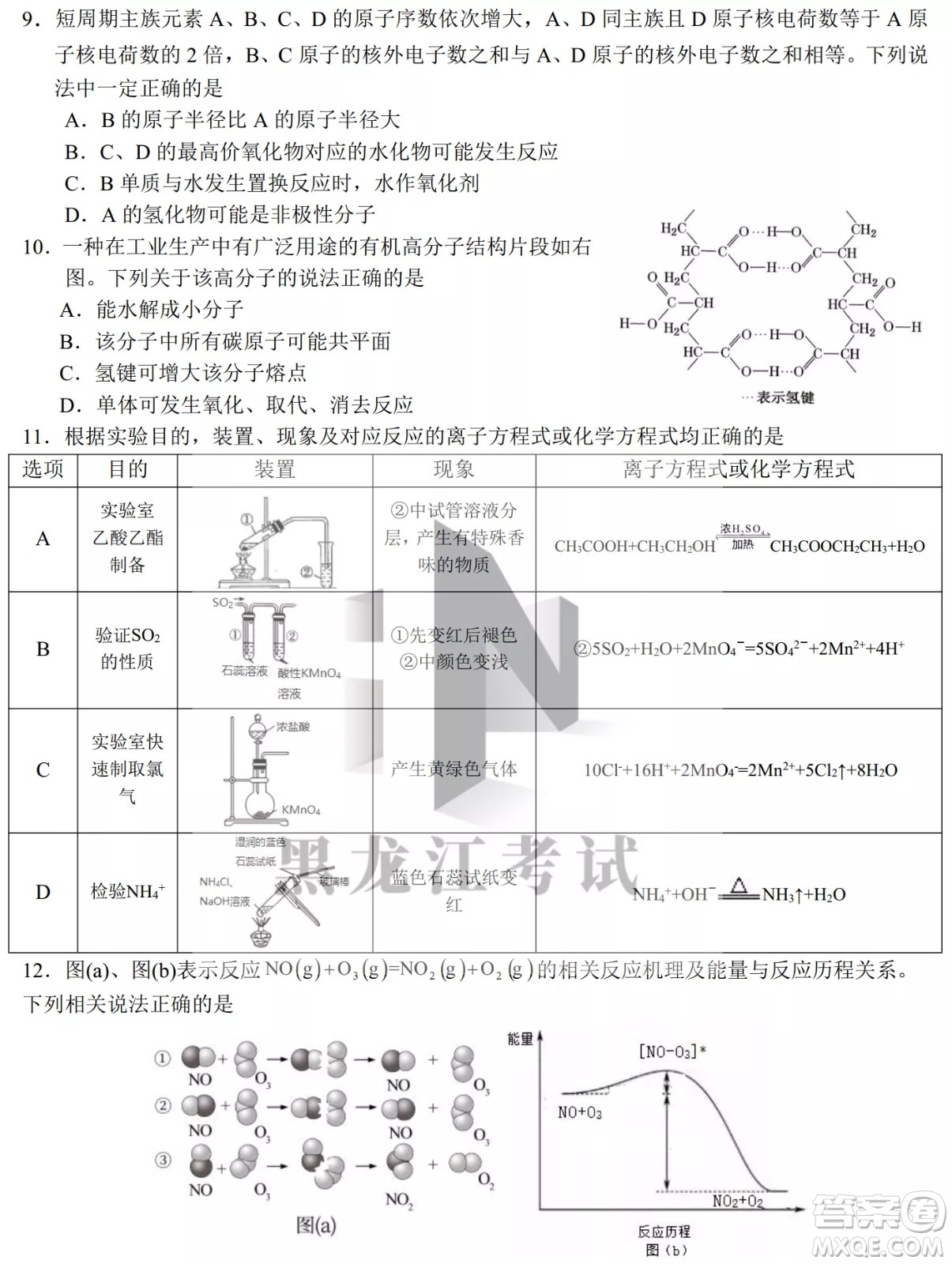 哈爾濱市第九中學(xué)校2021-2022學(xué)年度下學(xué)期開(kāi)學(xué)考試高三理綜試題及答案