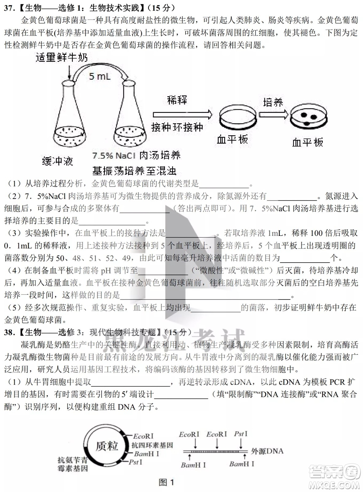 哈爾濱市第九中學(xué)校2021-2022學(xué)年度下學(xué)期開(kāi)學(xué)考試高三理綜試題及答案