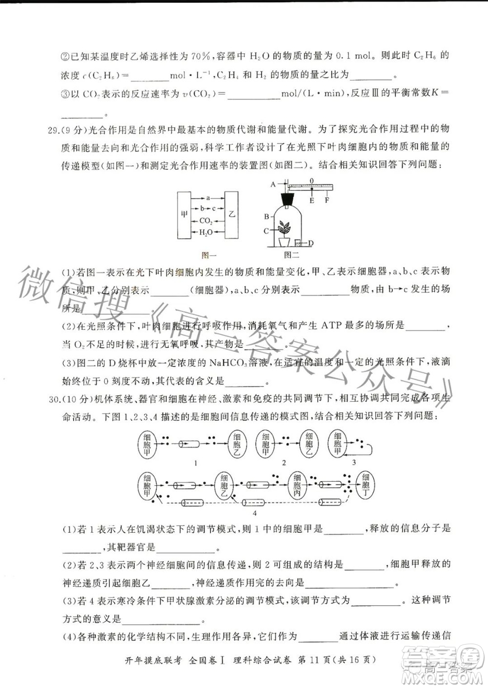 百師聯(lián)盟2022屆高三開年摸底聯(lián)考全國卷1理科綜合試題及答案