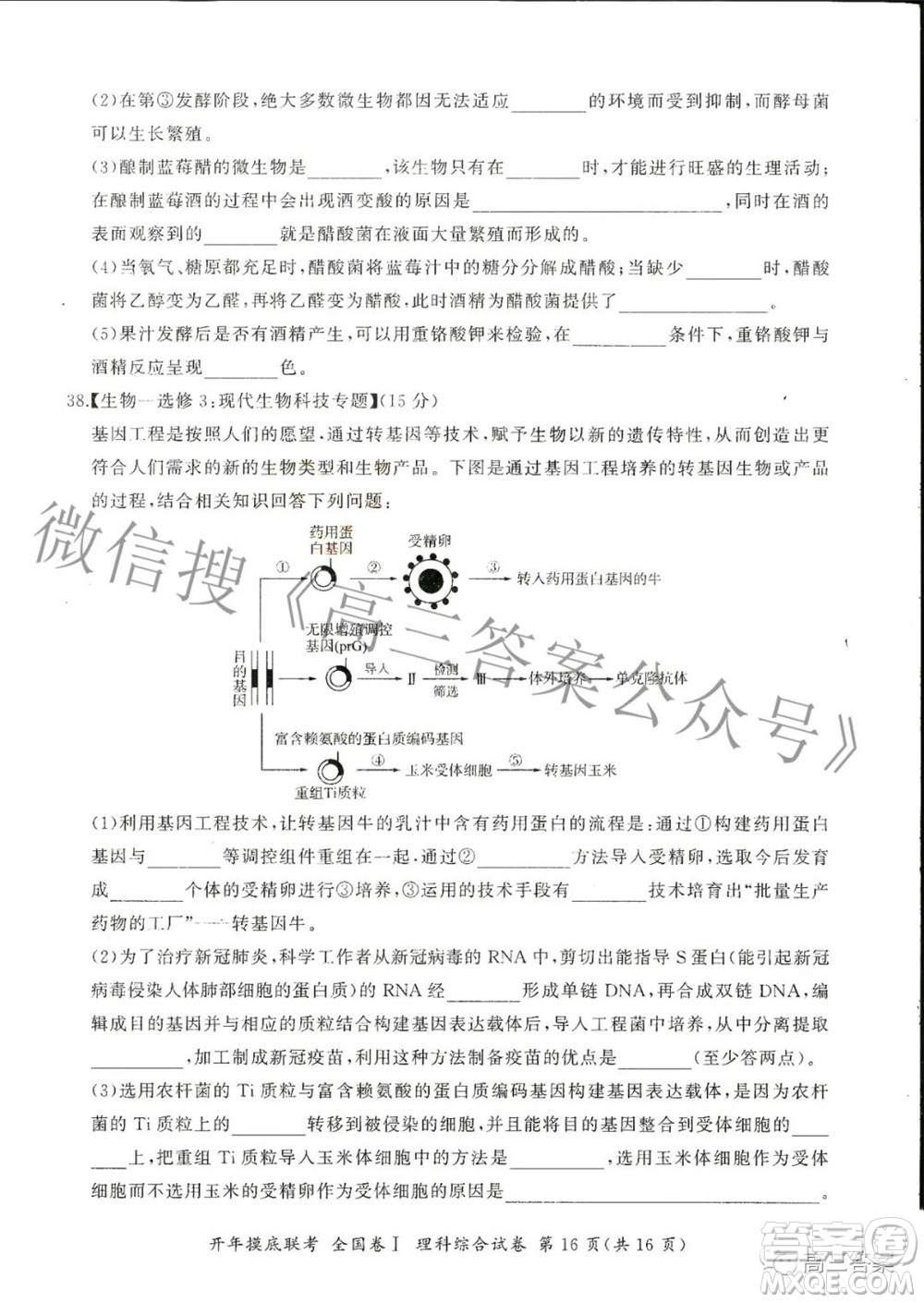 百師聯(lián)盟2022屆高三開年摸底聯(lián)考全國卷1理科綜合試題及答案