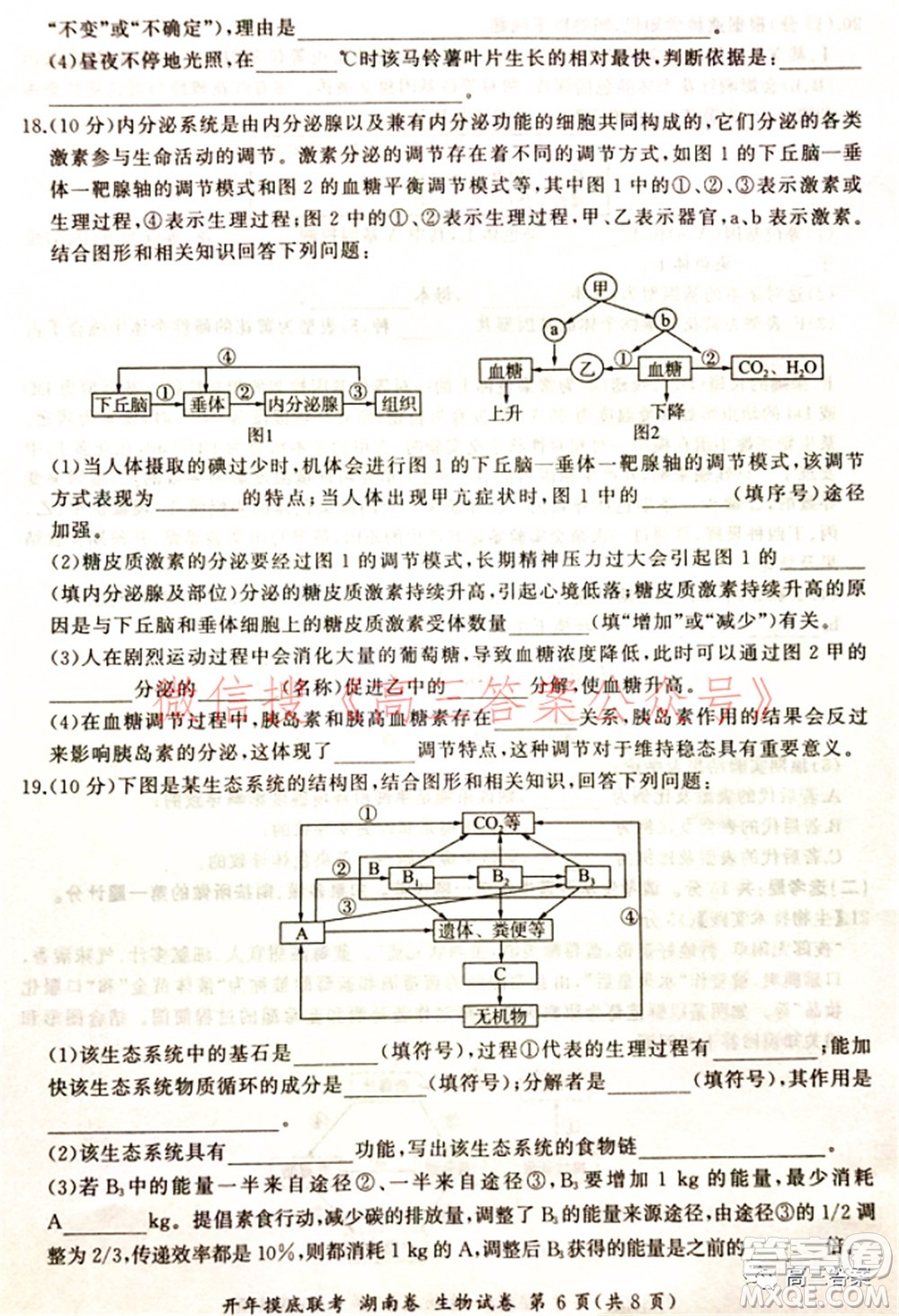 百師聯(lián)盟2022屆高三開(kāi)年摸底聯(lián)考湖南卷生物試題及答案