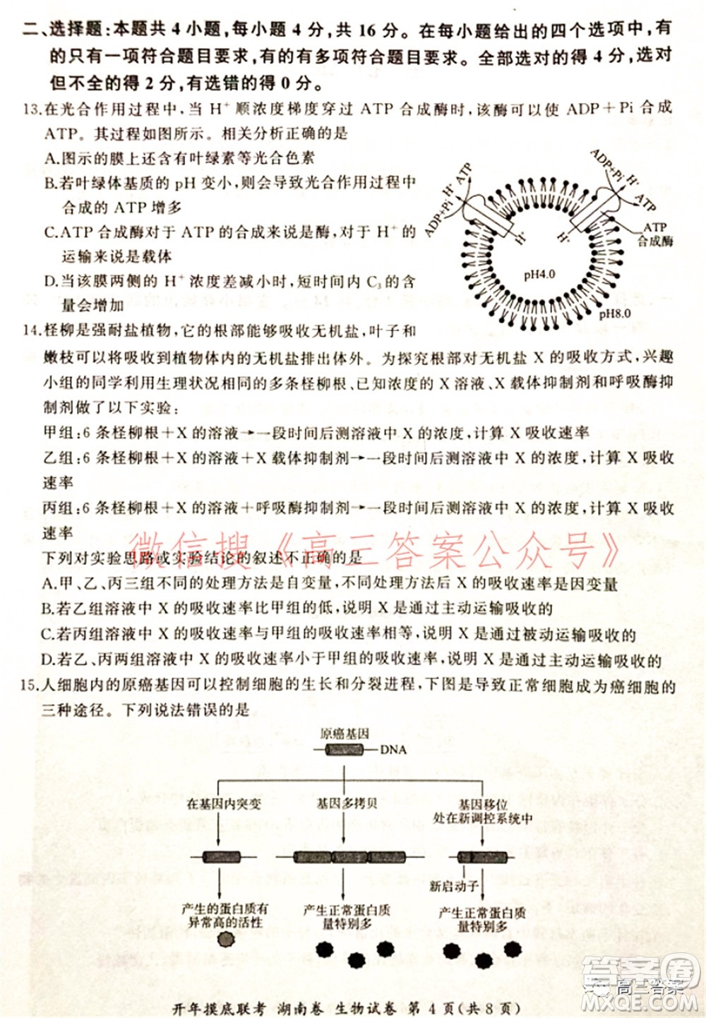 百師聯(lián)盟2022屆高三開(kāi)年摸底聯(lián)考湖南卷生物試題及答案