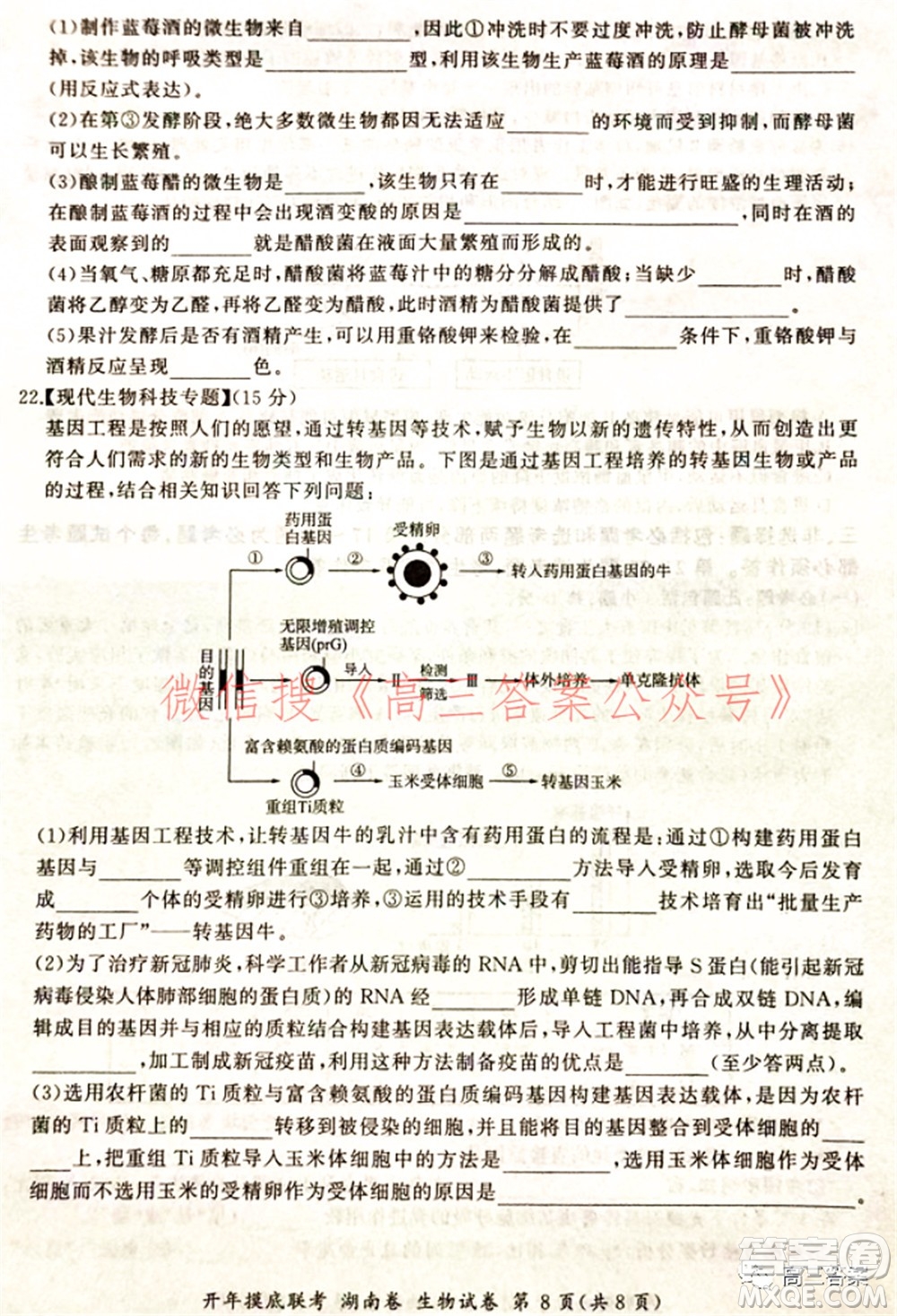 百師聯(lián)盟2022屆高三開(kāi)年摸底聯(lián)考湖南卷生物試題及答案