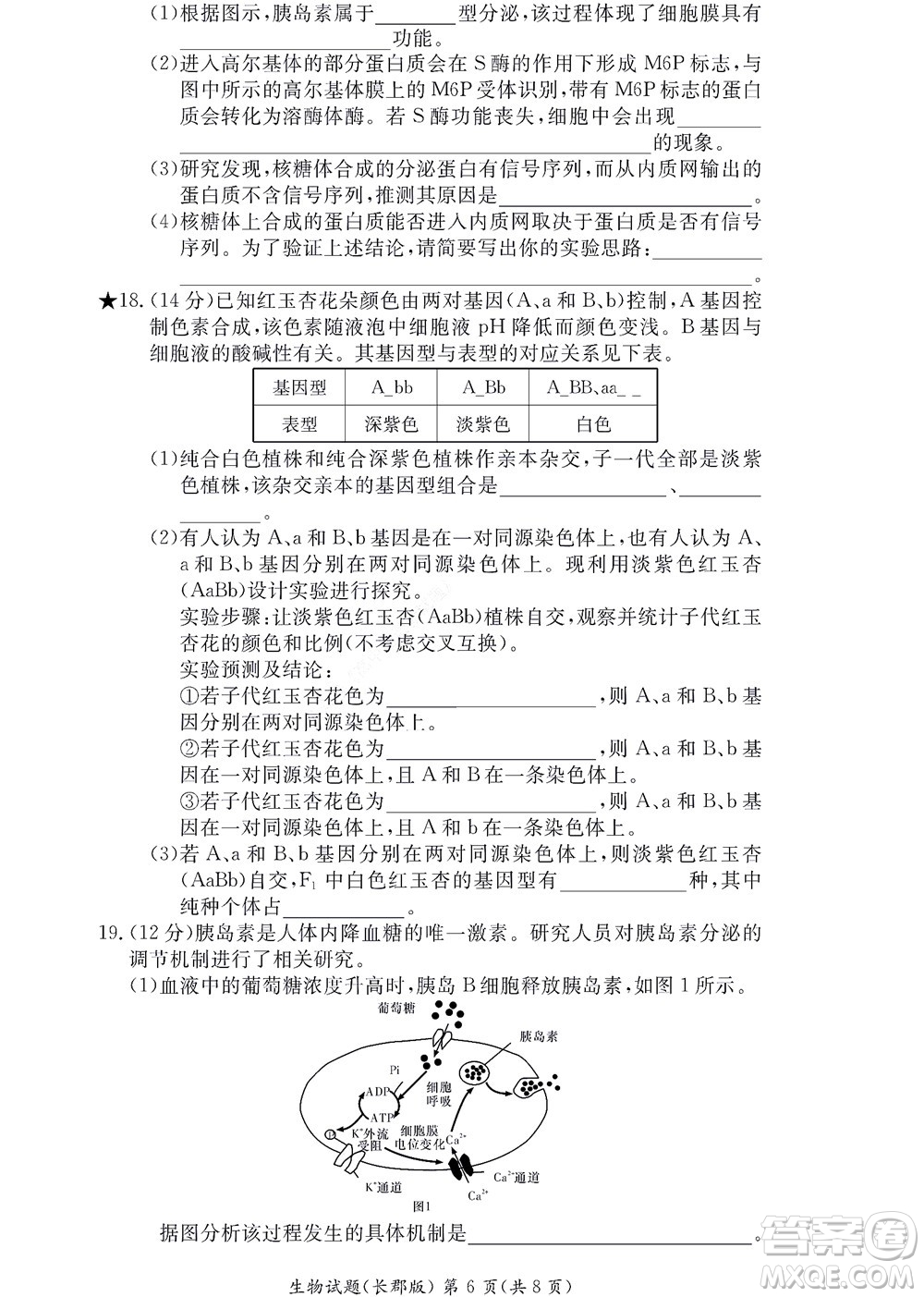 湖南長郡中學2022年高二年級寒假作業(yè)檢測生物試題及答案