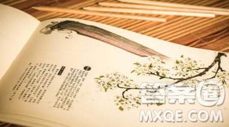 操千曲而后曉聲觀千劍而后識(shí)器材料作文800字 關(guān)于操千曲而后曉聲觀千劍而后識(shí)器的材料作文800字