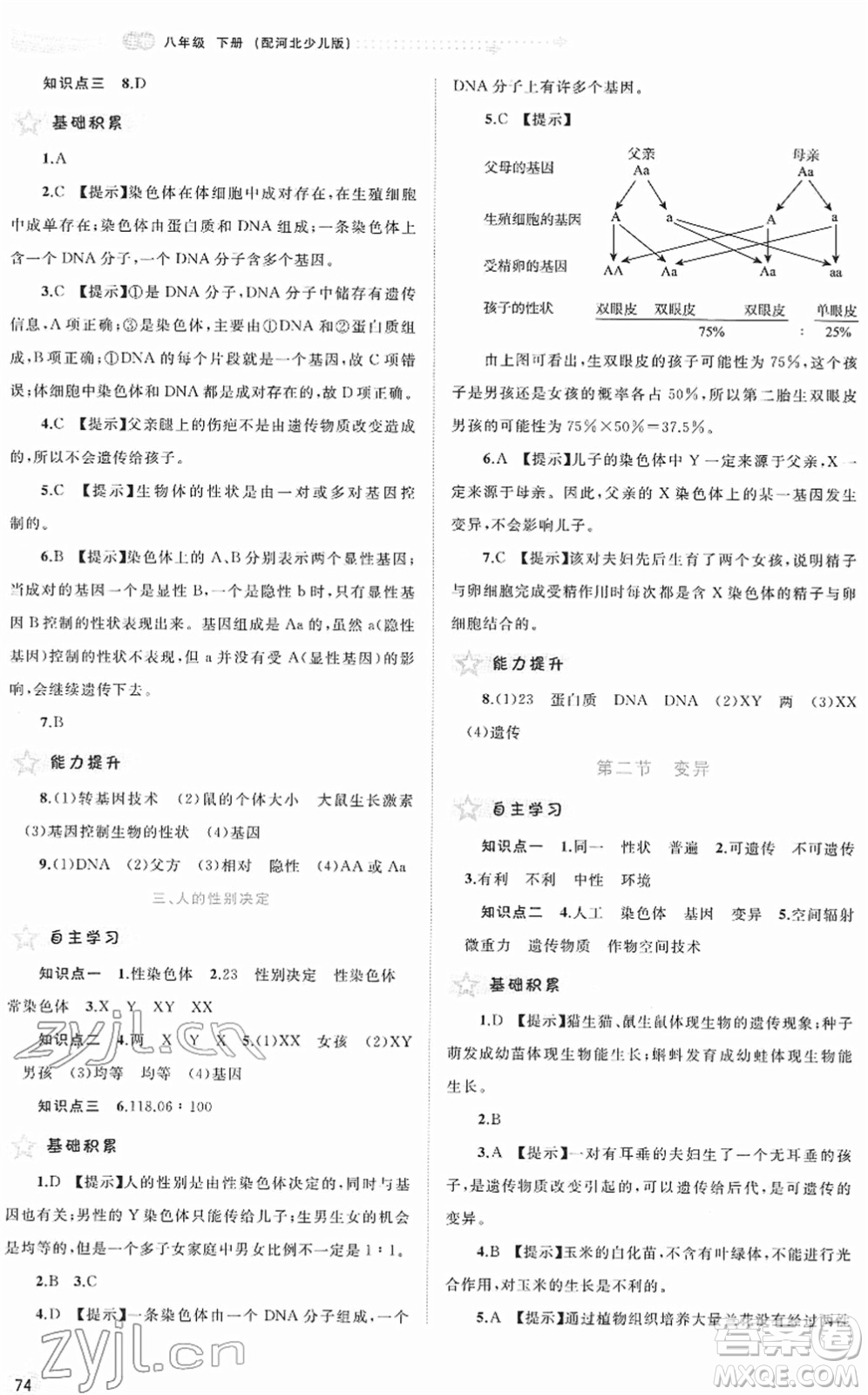 廣西教育出版社2022新課程學(xué)習(xí)與測評(píng)同步學(xué)習(xí)八年級(jí)生物下冊河北少兒版答案