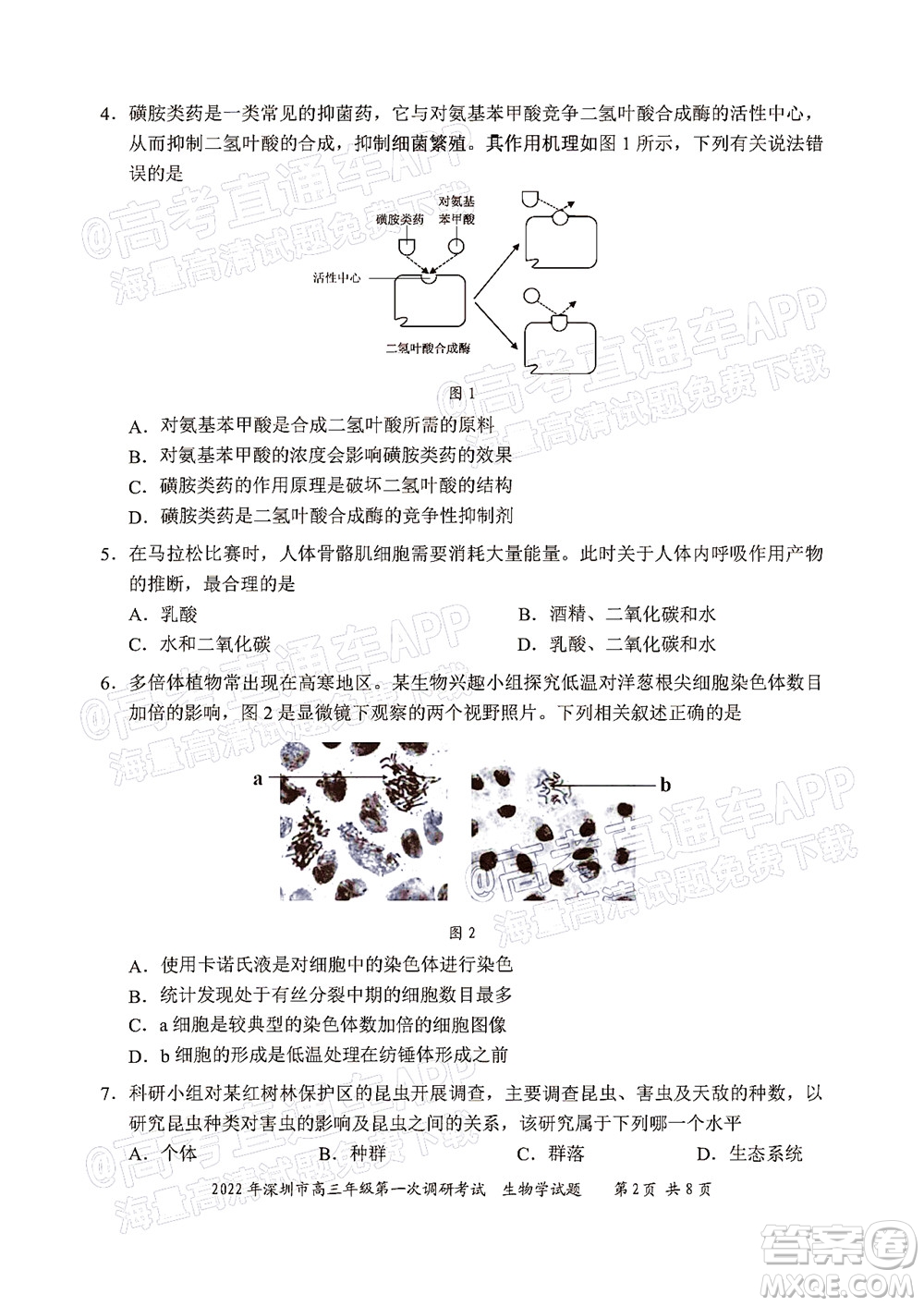 2022年深圳市高三年級(jí)第一次調(diào)研考試生物學(xué)試題及答案