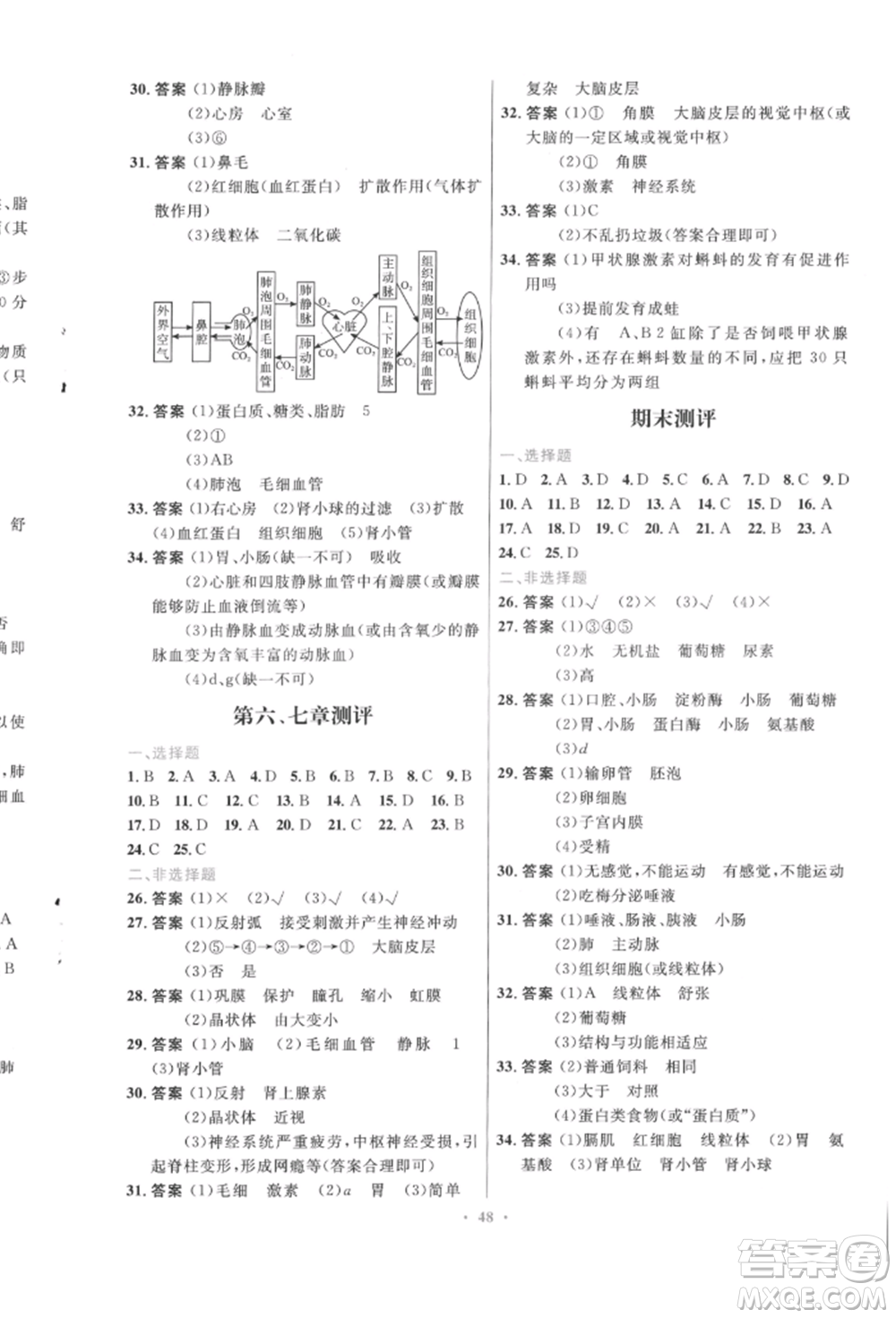 人民教育出版社2022初中同步測(cè)控優(yōu)化設(shè)計(jì)七年級(jí)生物下冊(cè)人教版福建專版參考答案