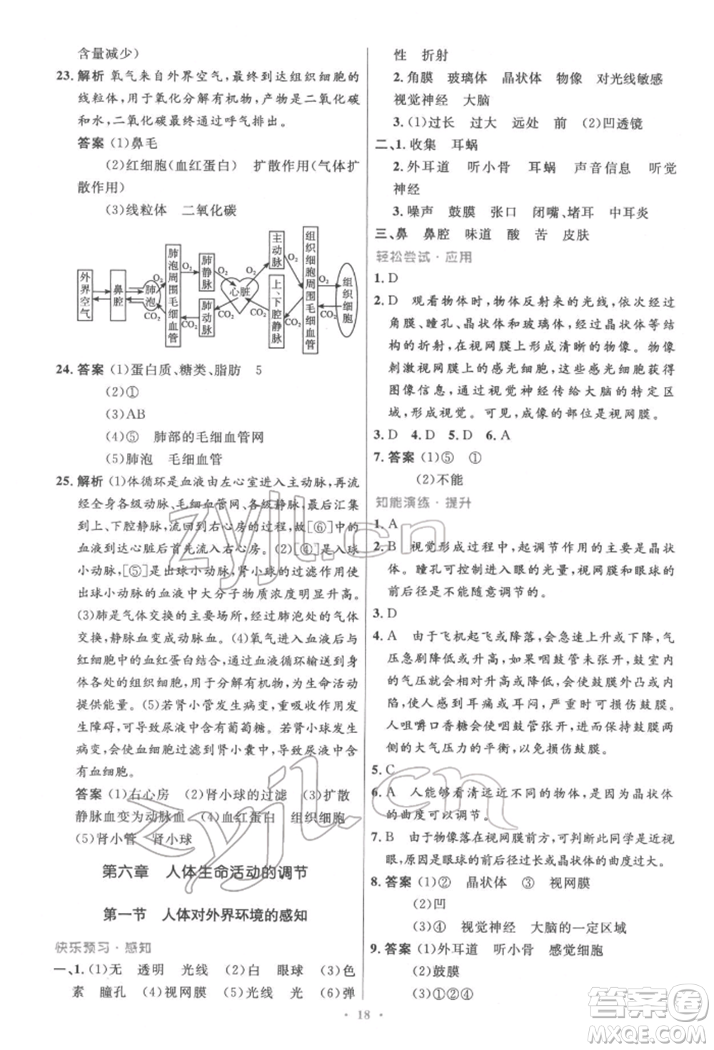 人民教育出版社2022初中同步測控優(yōu)化設(shè)計七年級生物下冊人教版精編版參考答案