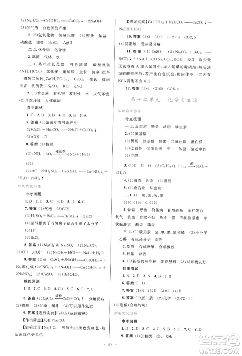 人民教育出版社2022初中總復習優(yōu)化設計九年級化學人教版參考答案